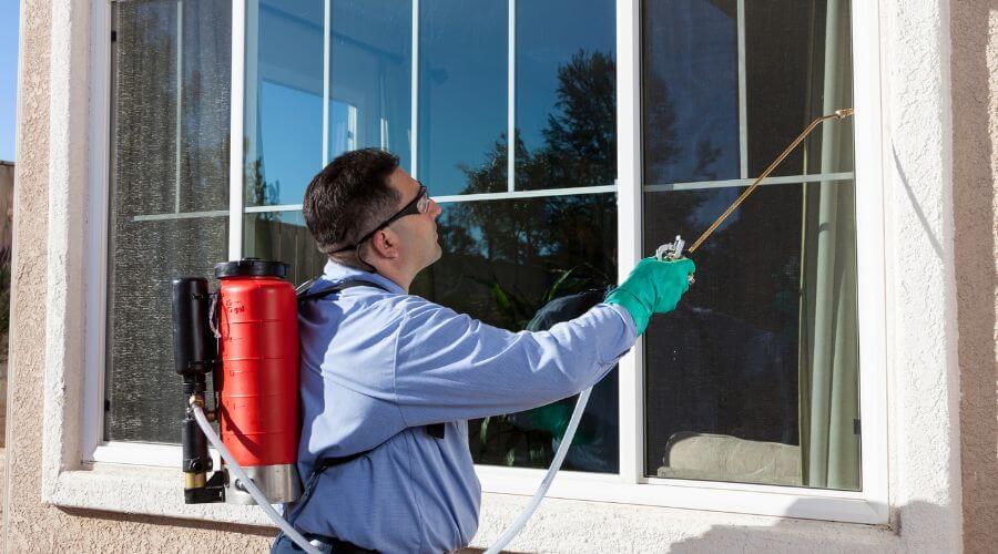 Professional pest control services in Downey